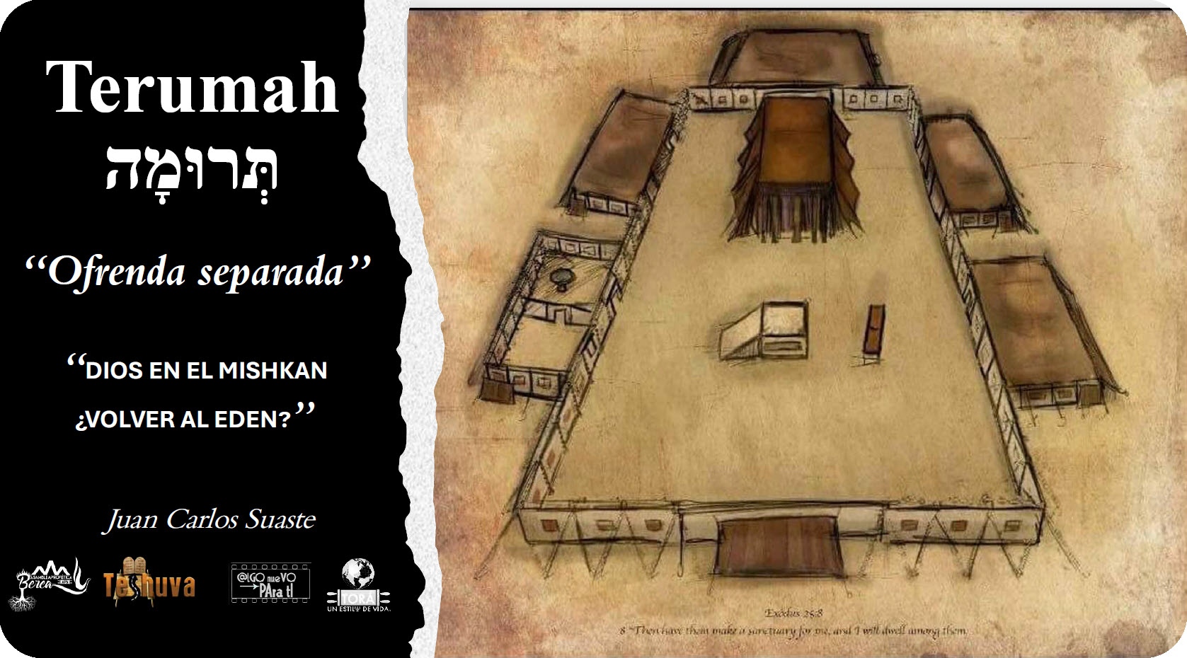 2023-2024 Parasha "Terumah"